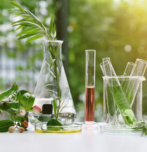 Natural drug research, Natural organic and scientific extraction in glassware, Alternative green herb medicine, Natural skin care beauty products, Laboratory and development concept.