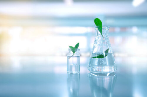 clear water in glass flask and vial with natural green leave in biotechnology science laboratory background